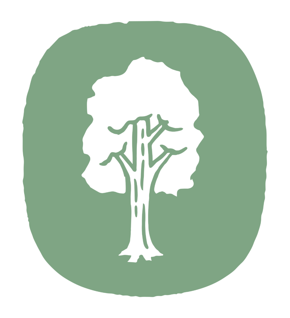 An icon of a mature tree