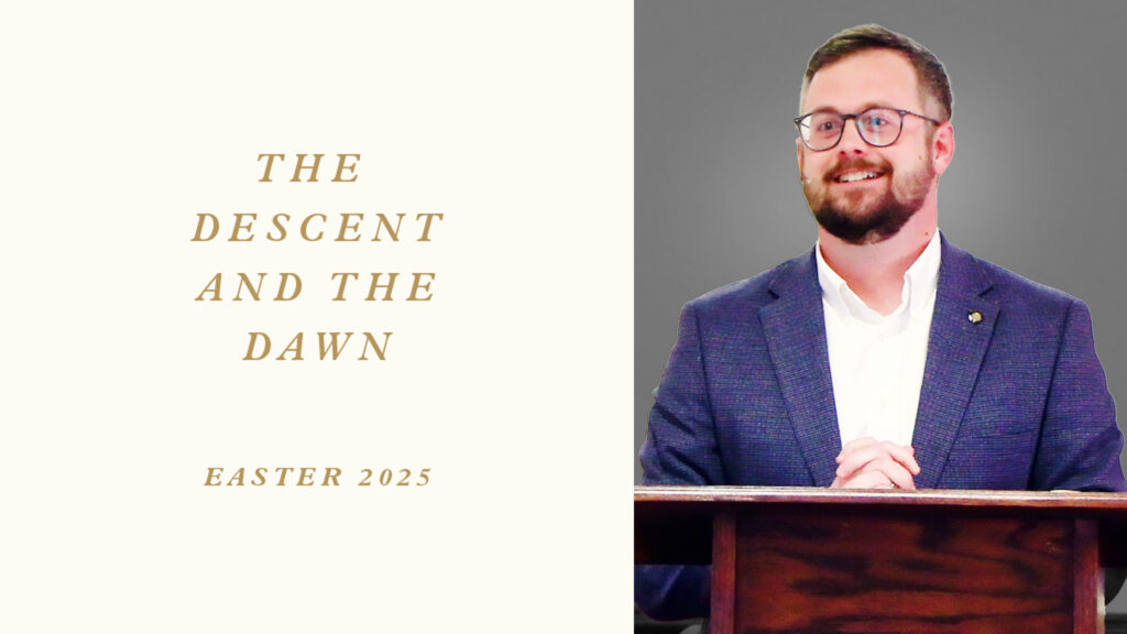 Palm Sunday: The Humble King